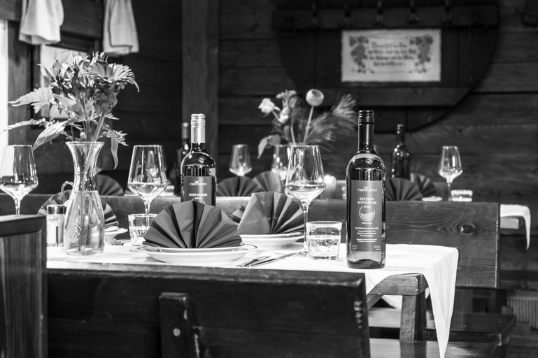 Food & Drinks 5, Winzerhotel Gumpoldskirchen, Mödling
