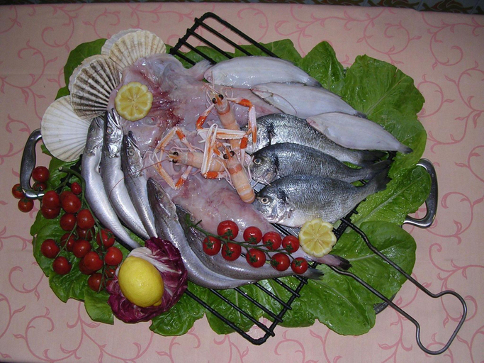 Food & Drinks 5, Albergo Tenda Verde, Ancona