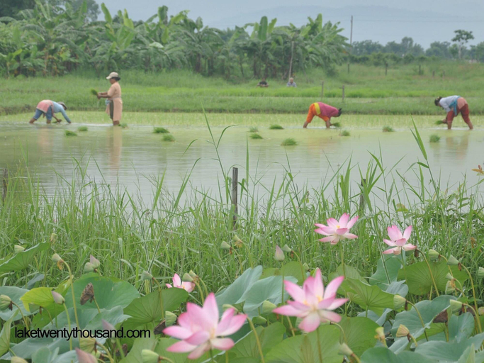 Sports and Entertainment 3, Lake Twenty Thousand Farm Retreat, Narayani