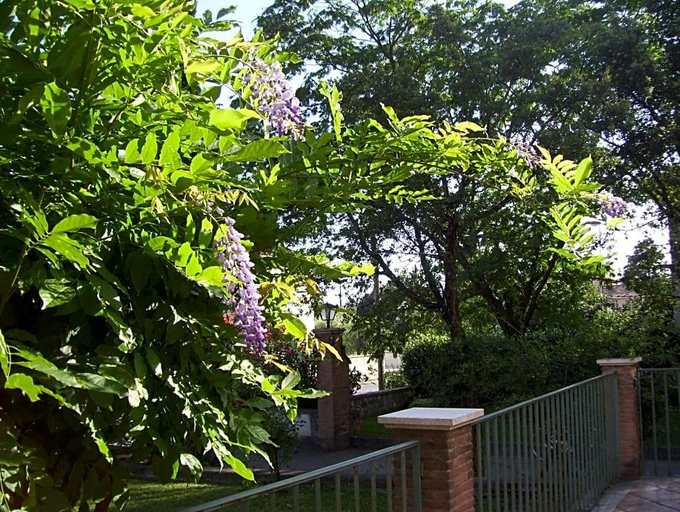 Public Area 3, Hotel Del Sole, Frosinone