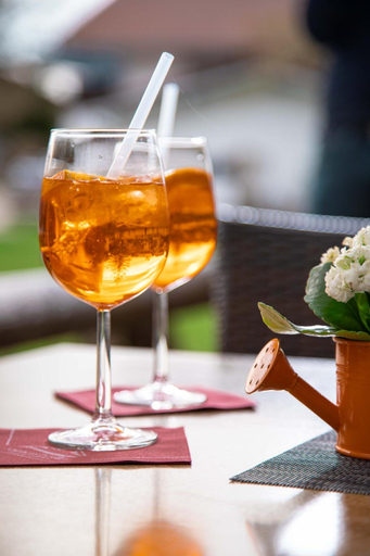 Food & Drinks 5, Alpinhotel Inzeller, Traunstein