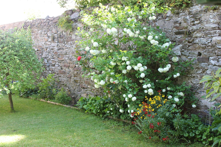 Exterior & Views 2, Hôtel Coeur De Loire, Loire-Atlantique