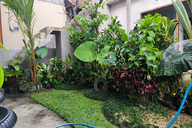 General view 5, Bhuana Shanti Homestay Ubud, Gianyar
