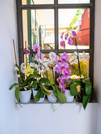 Public Area 3, Hotel Miranda, Savona