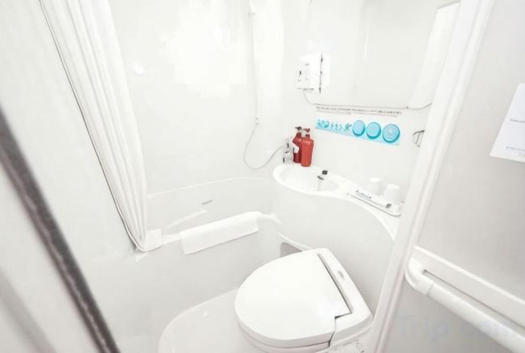 Bathroom 4, Super Hotel Ikebukuro West Natural Hot Spring, Toshima