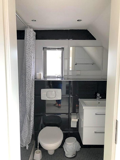 Bathroom 5, Dionysos Traube, Rottweil