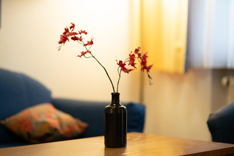 Others 4, Appartement Hotel Finkenhof, Passau
