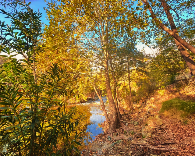 General view 2, Kybele Nature Life, Merkez