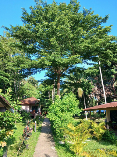 General view