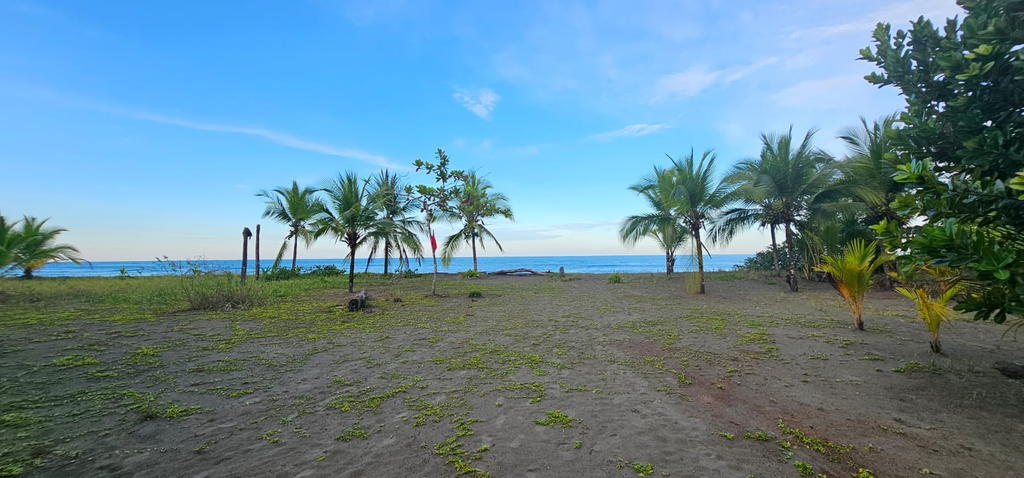 Beach 5, Hotel Playa Westfalia, Limón