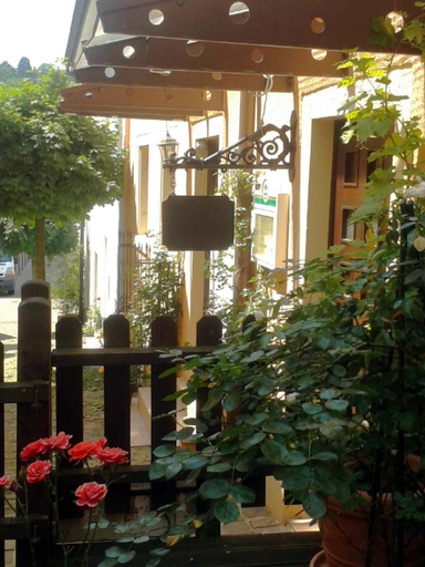 Exterior & Views 2, Apparthaus Pfeifer, Baden-Baden
