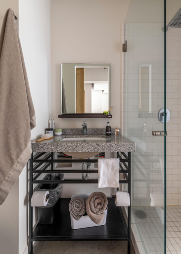 Bathroom 4, Triver Florencia, Mexico City