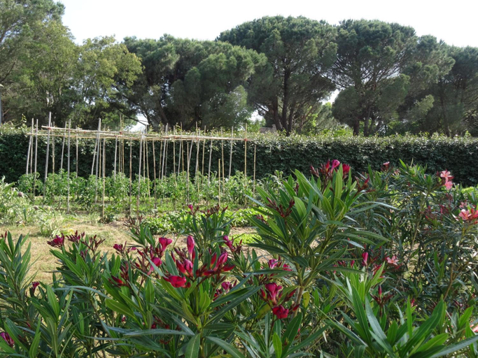 General view 2, Chambres D'hôtes Villa Alizé, Var