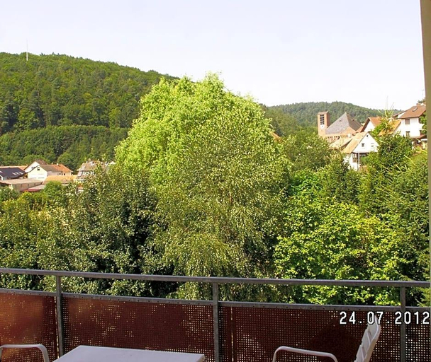 Public Area, Landgasthof Zum Hirschen, Main-Spessart
