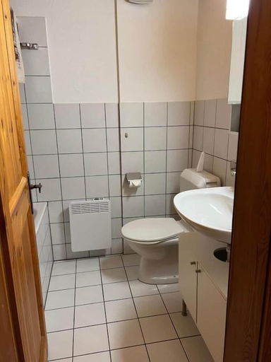 Bathroom 3, Gasthaus Alpina Salouf, Albula