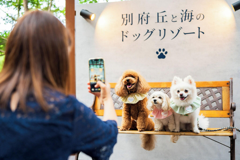Public Area, Beppu Fuga, Beppu