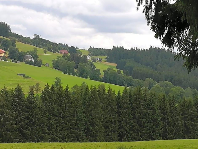 Public Area 3, Schwarzwaldgasthaus Salenhof, Breisgau-Hochschwarzwald