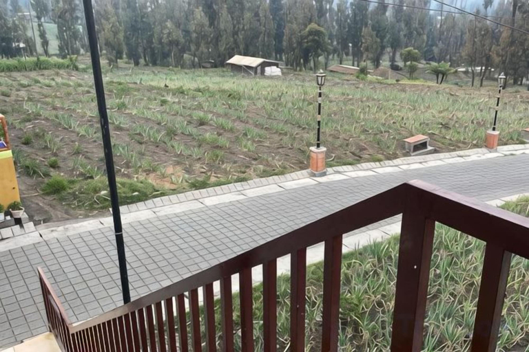 Property grounds 4, Homestay Semesta Bromo, Probolinggo