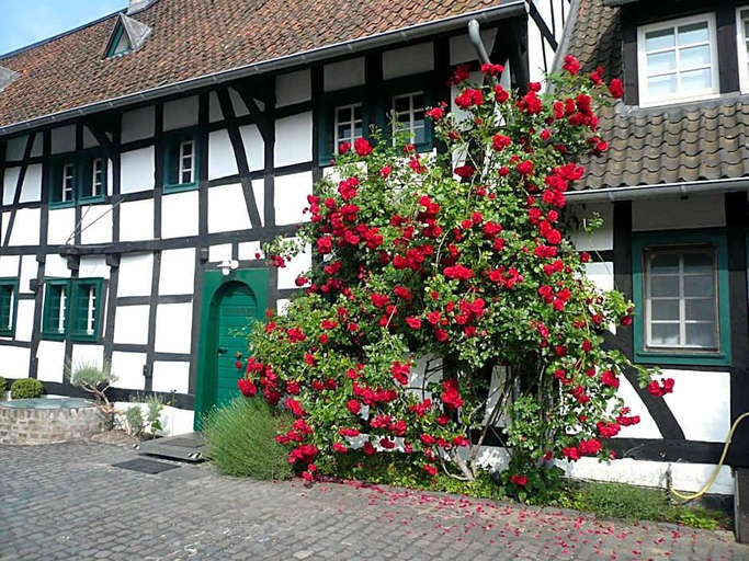 Exterior & Views 1, Falderhof, Köln