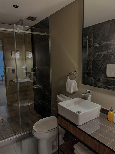 Bathroom 5, Casa Olea, Mexico City
