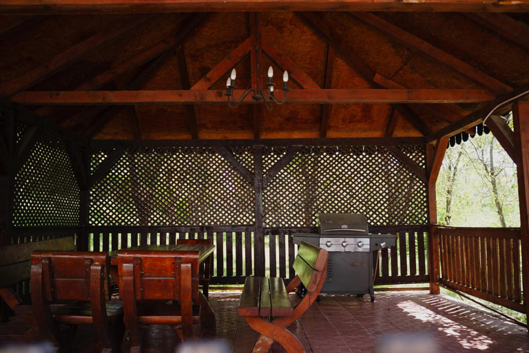 General view 5, Motel Cincis, Teliucu Inferior
