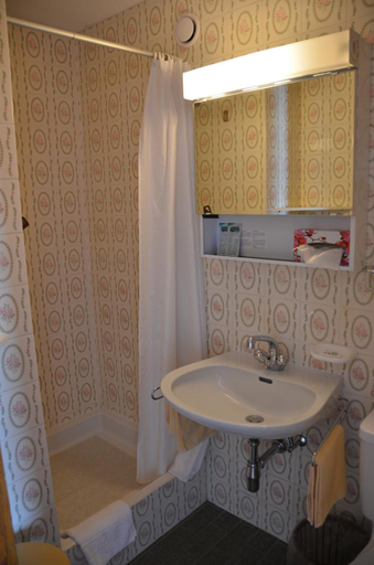 Bathroom 4, Hotel Mirabeau, Entremont