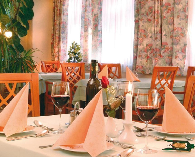 Food & Drinks, Hotel Geier, Wiener Neustadt Land