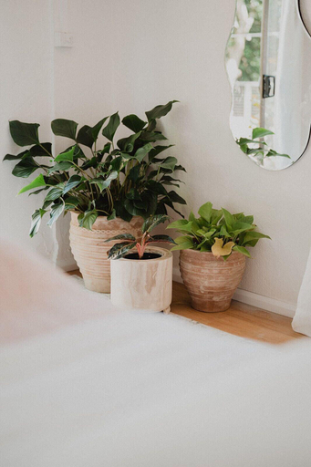 Bathroom 4, The Lodge Jamberoo, Kiama