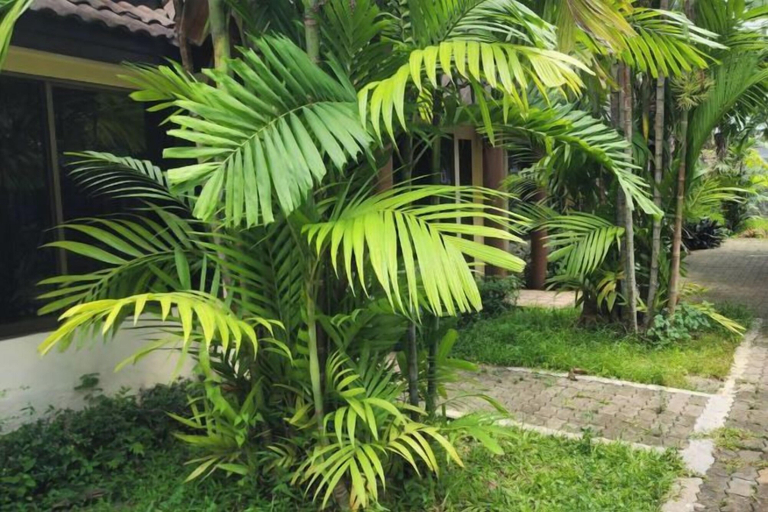 Others 5, Amorn inn resort, Muang Chiang Rai