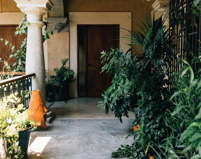 Public Area 2, Casa Antonieta, Del Centro