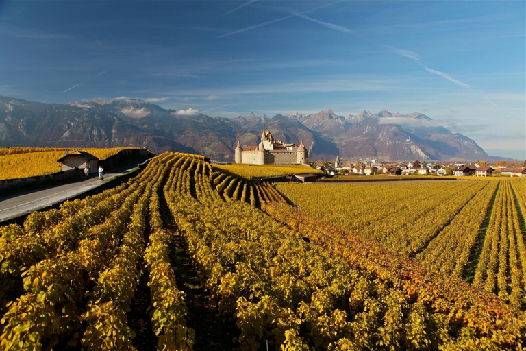 General view 4, Auberge Communale De La Couronne, Aigle