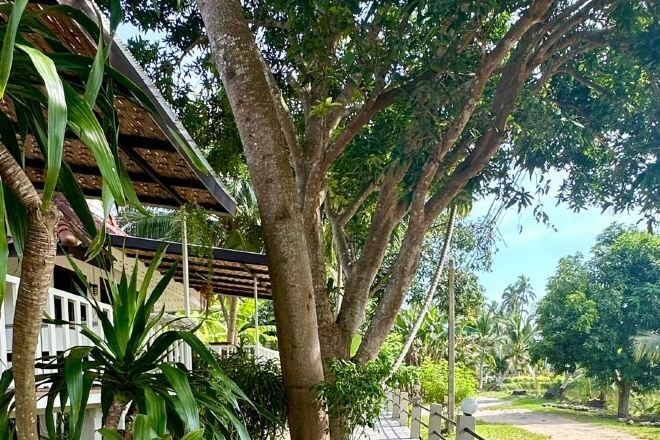 Others 4, Blooming Village by Aforetime, Ko Samui