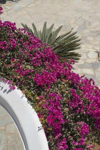 Public Area 2, Kameo Antiparos, South Aegean