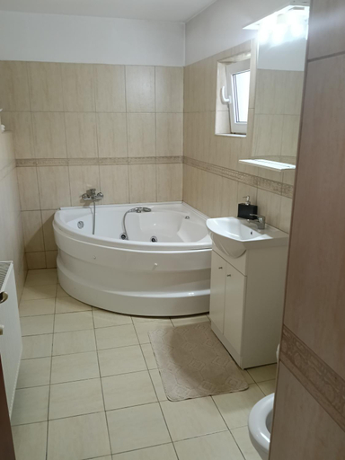 Bathroom 3, Pensiunea Dealu Morii, Cartisoara