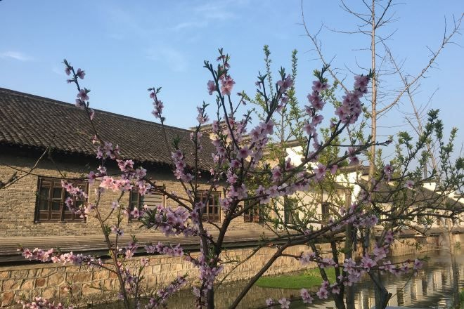 Exterior & Views 2, Wuzhen Flower House, Jiaxing