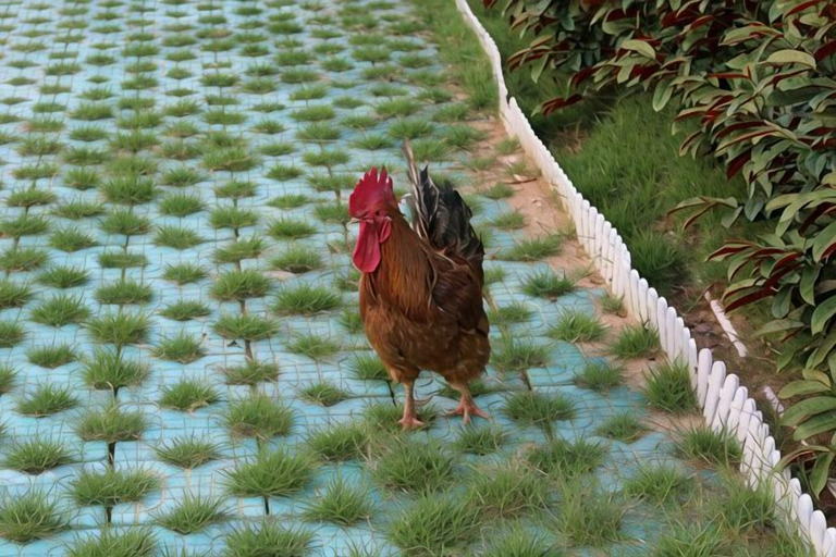 Others 5, Beihai Haidao Garden Homestay, Beihai