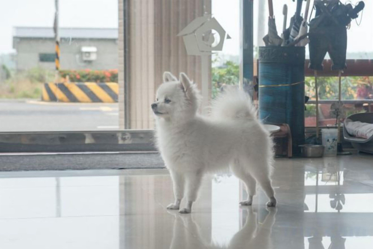 Others 1, Kenting Green Yard Hostel, Pingtung