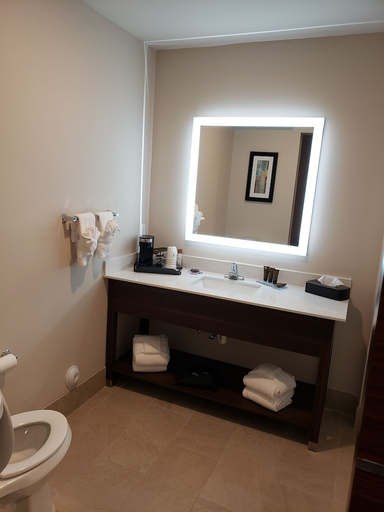 Bathroom 4, Wingate by Wyndham Christiansburg, Montgomery