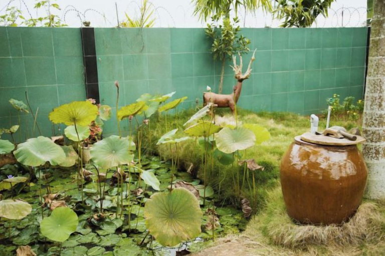 Property grounds 2, Villa Pleiku City, Pleiku