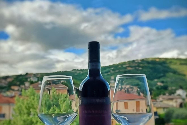 Food and drink 3, The Lotus Valpolicella, Verona
