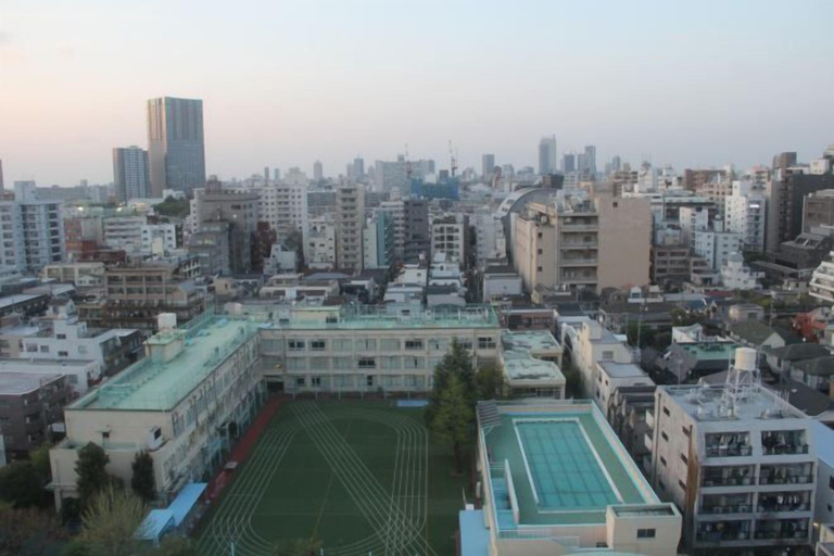 Aerial view 3, Oumekaku, Nakano City