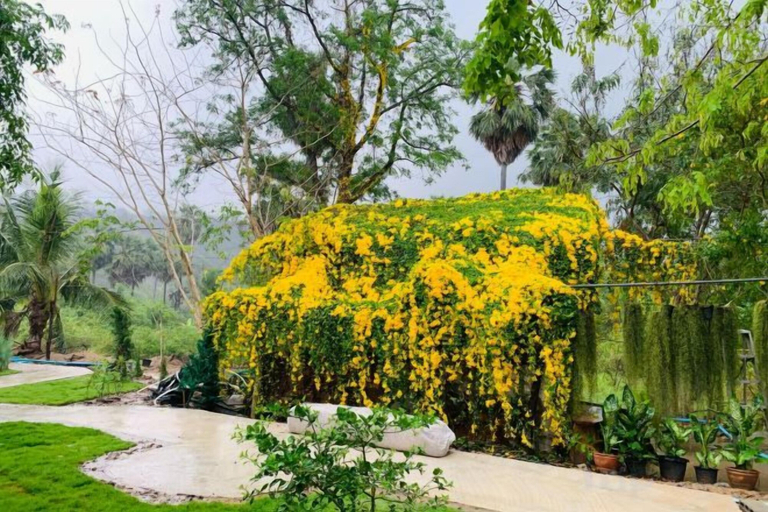 Miscellaneous 3, Suan Lung Rin Resort Cha Am, Cha-Am