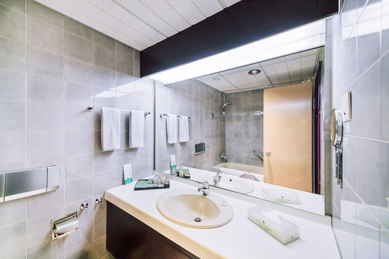Bathroom 4, Chinggis Khaan Hotel, Ulan Bator