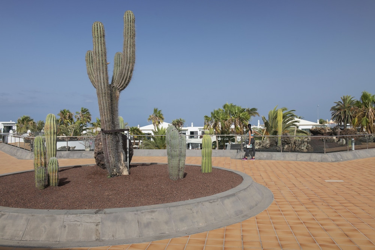 Others, Las Marismas De Corralejo, Las Palmas