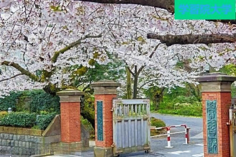 5, 4 mins walk from JR Station/single-family house, Toshima