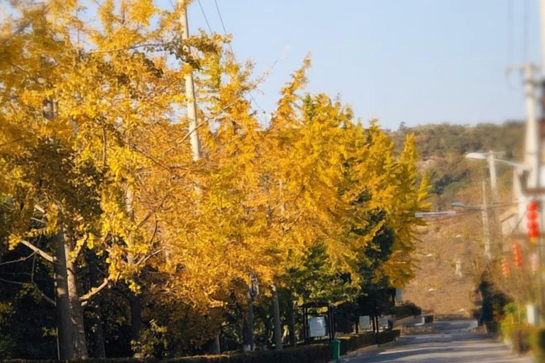 Miscellaneous 2, Qihupan Inn Heping, Wuxi