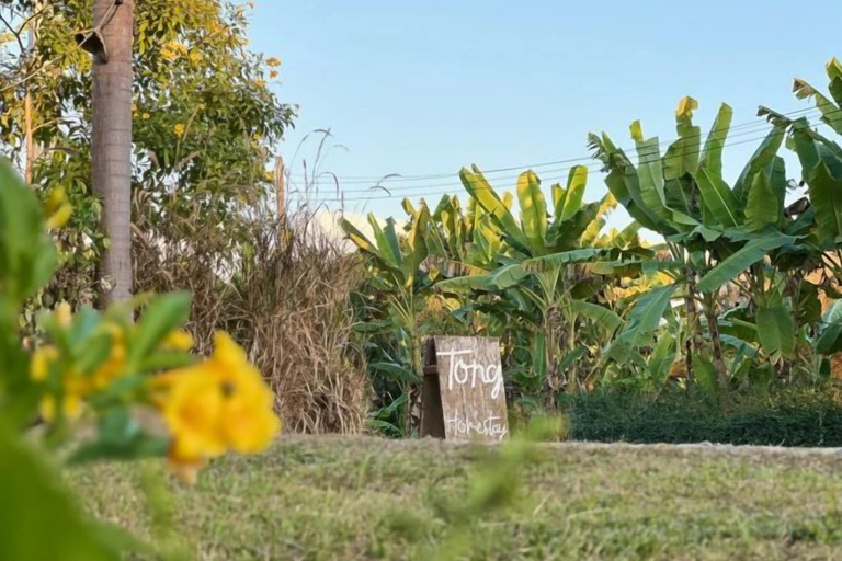 Property grounds 3, Tung Homestay, Muang Nan
