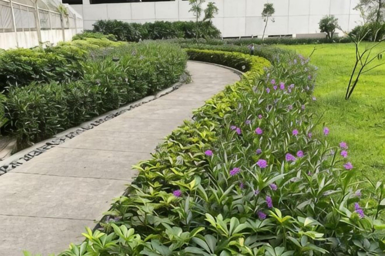 Property grounds, Grass Residence tower2 2011, Quezon City