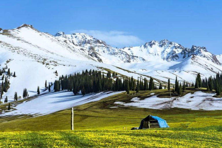 Others 5, HFDJD, Ili Kazakh