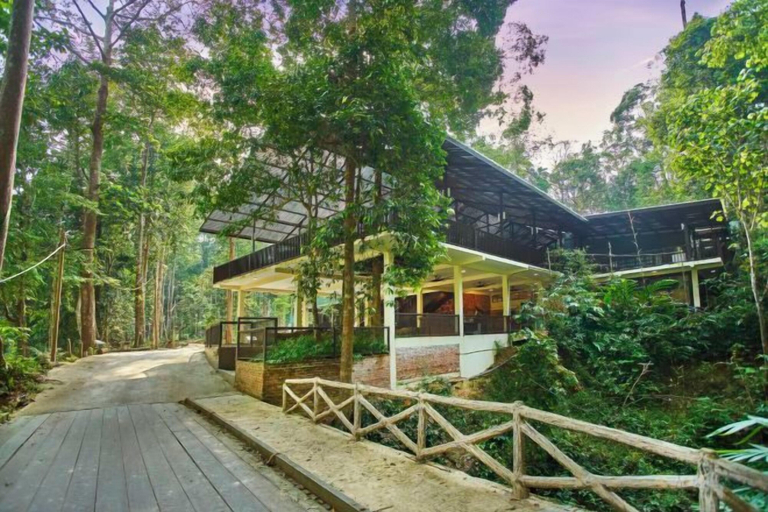 Exterior 5, Rompin Rainforest Lodge, Rompin